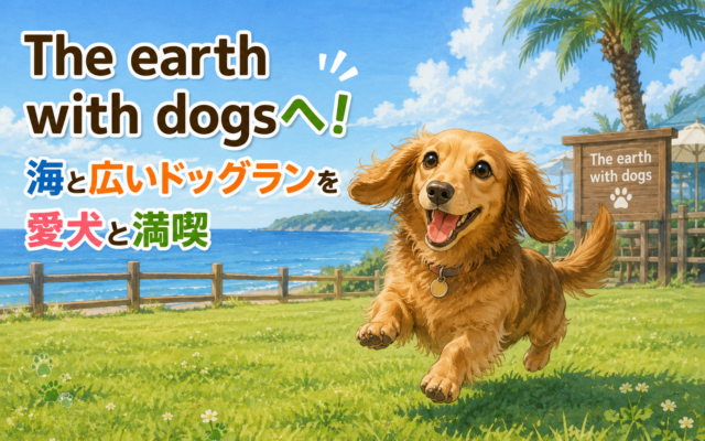 ドッグランを走り回るミニチュアダックスフンド