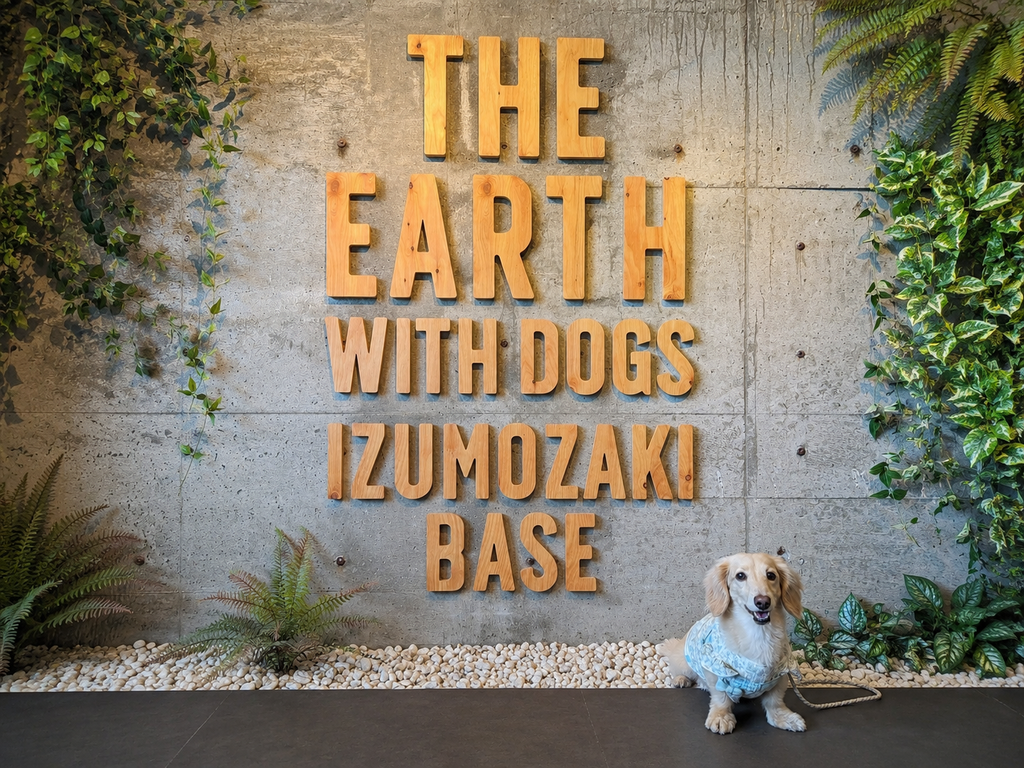 緑に囲まれた木製サインと小さな犬