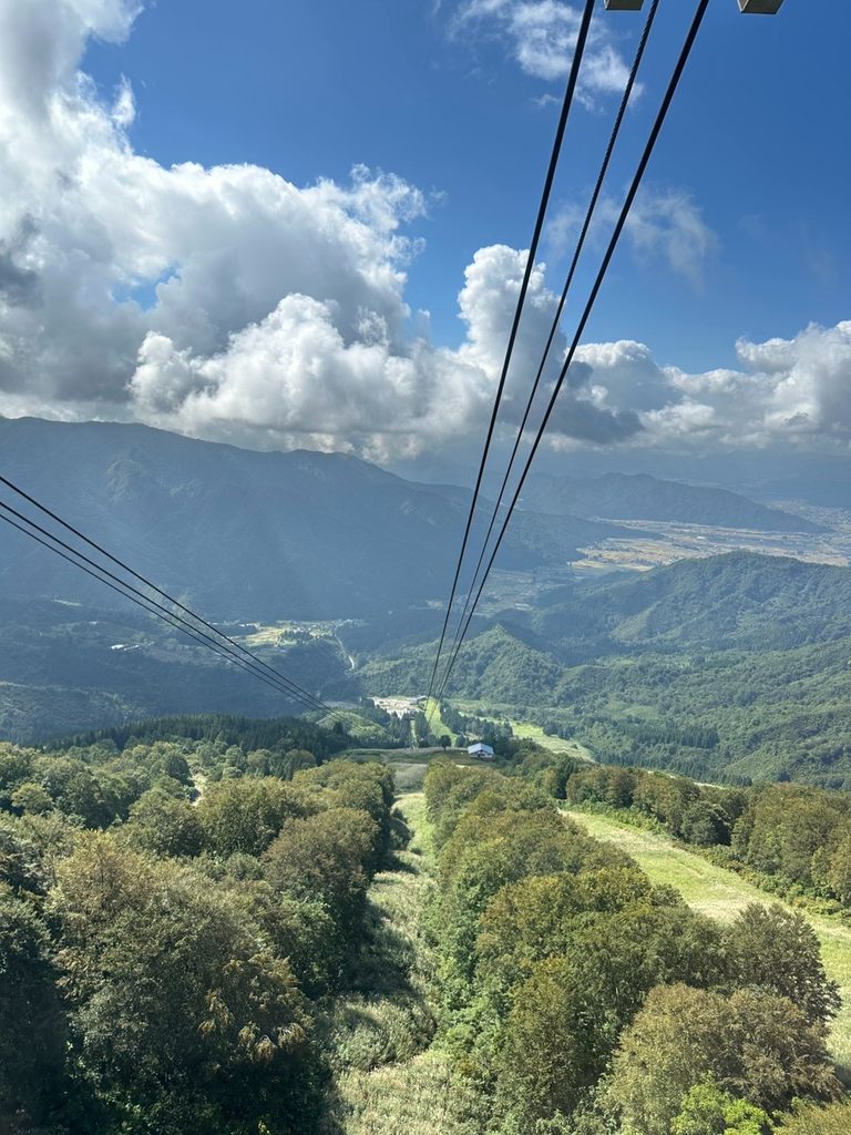 山頂に向かう景色